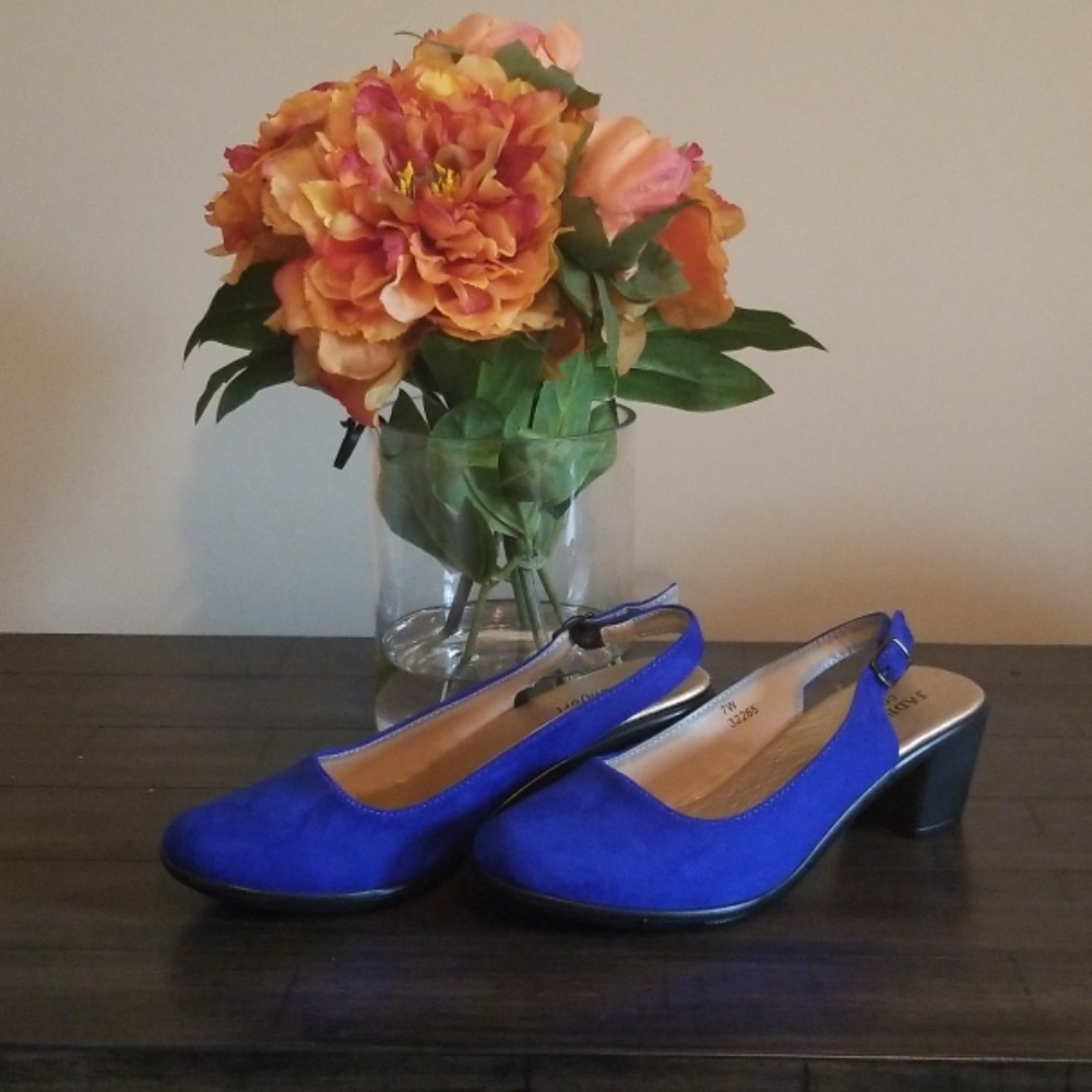 Classy  Suede Royal Blue Shoes
